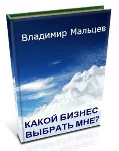 Какой бизнес выбрать мне? Владимир Мальцев