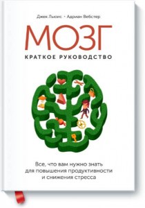Мозг. Краткое руководство - бизнес мышление