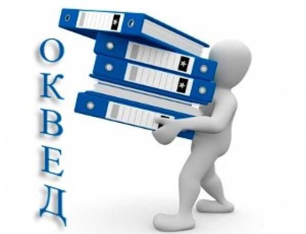 количество кодов ОКВЭД